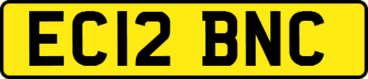 EC12BNC