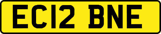 EC12BNE