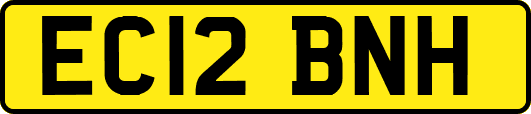 EC12BNH