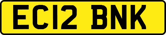 EC12BNK