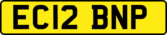 EC12BNP