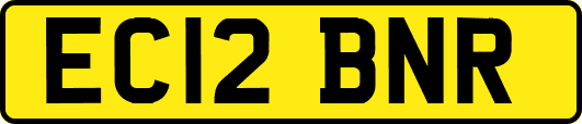 EC12BNR