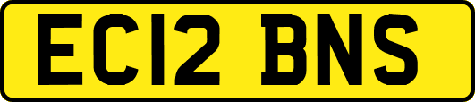 EC12BNS