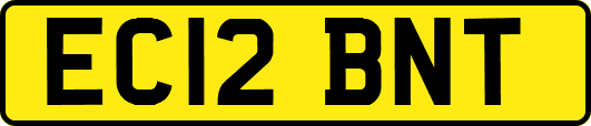 EC12BNT