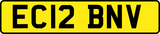 EC12BNV