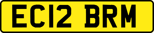 EC12BRM