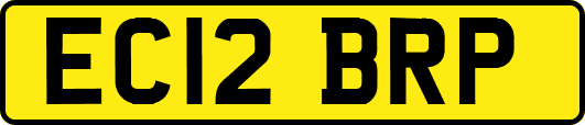 EC12BRP