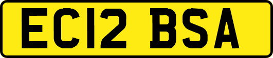 EC12BSA