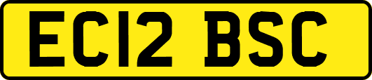 EC12BSC