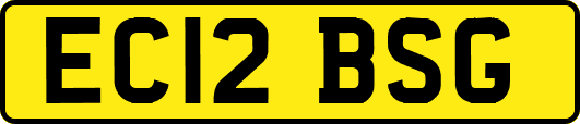 EC12BSG