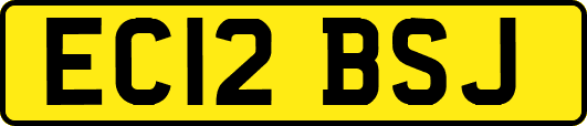 EC12BSJ