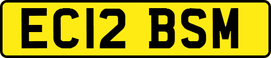 EC12BSM