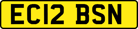 EC12BSN