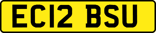 EC12BSU