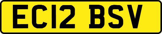 EC12BSV