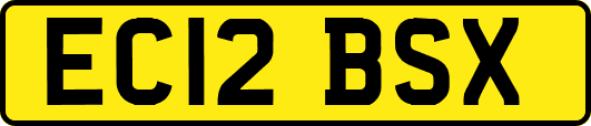 EC12BSX