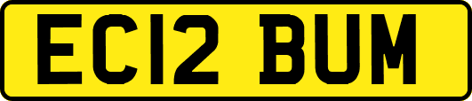 EC12BUM