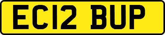 EC12BUP