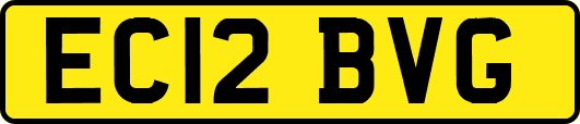 EC12BVG
