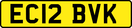 EC12BVK