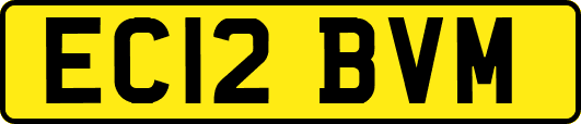 EC12BVM