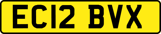 EC12BVX