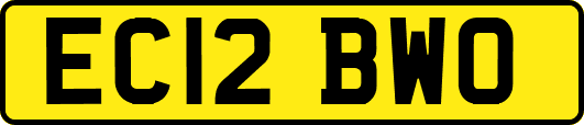 EC12BWO