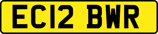 EC12BWR