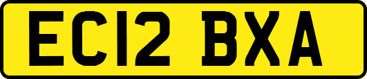 EC12BXA