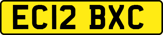 EC12BXC
