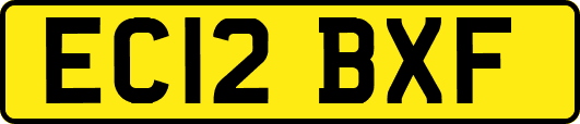 EC12BXF