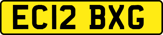 EC12BXG