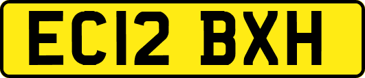 EC12BXH