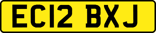 EC12BXJ