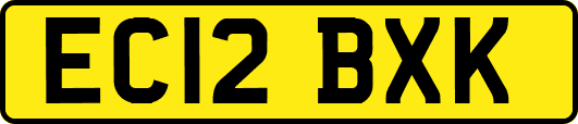 EC12BXK