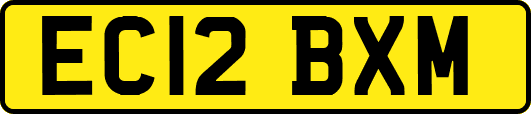 EC12BXM