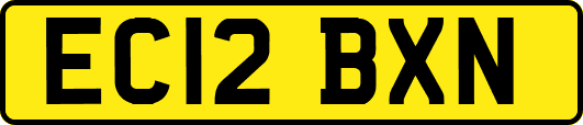 EC12BXN