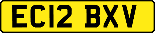 EC12BXV