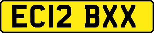 EC12BXX
