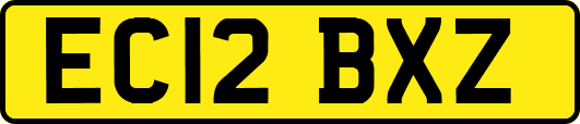 EC12BXZ