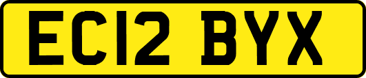EC12BYX