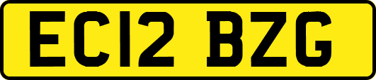 EC12BZG