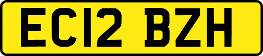 EC12BZH