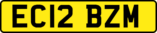 EC12BZM