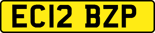 EC12BZP