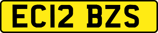 EC12BZS