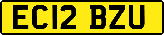 EC12BZU