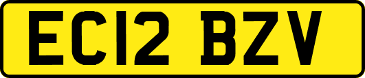 EC12BZV