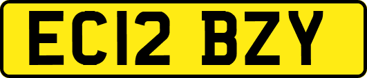 EC12BZY