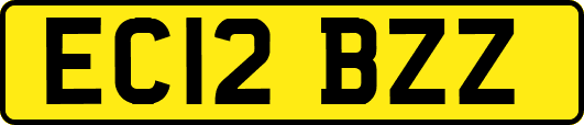 EC12BZZ